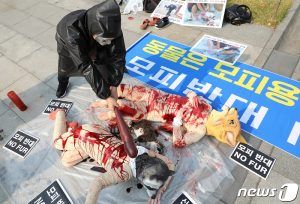 출처 뉴스원