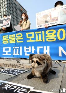 출처 뉴스원