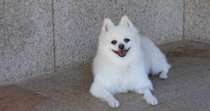 출처 클립아트코리아