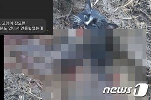 출처 뉴스원