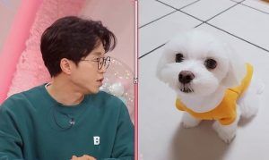 출처 KBS 2TV '펫 비타민'