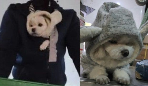 출처 뉴스원