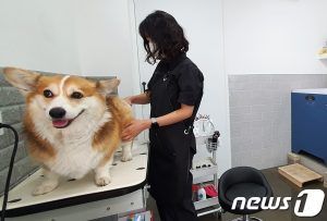 출처 뉴스원