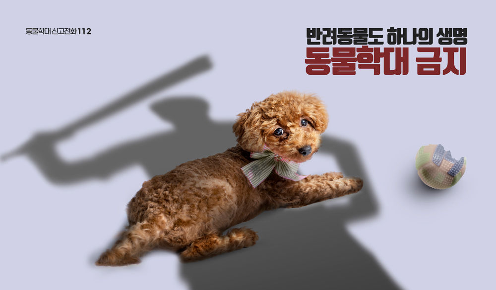 전문가들은 동물학대가 강력 범죄의 전조 증상이라며 강력한 처벌을 요구하고 있다.