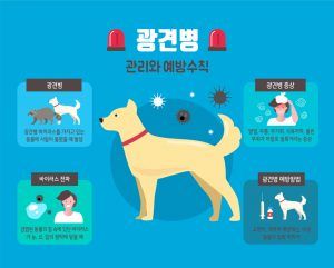광견병은 개만 걸리는 게 아니다.